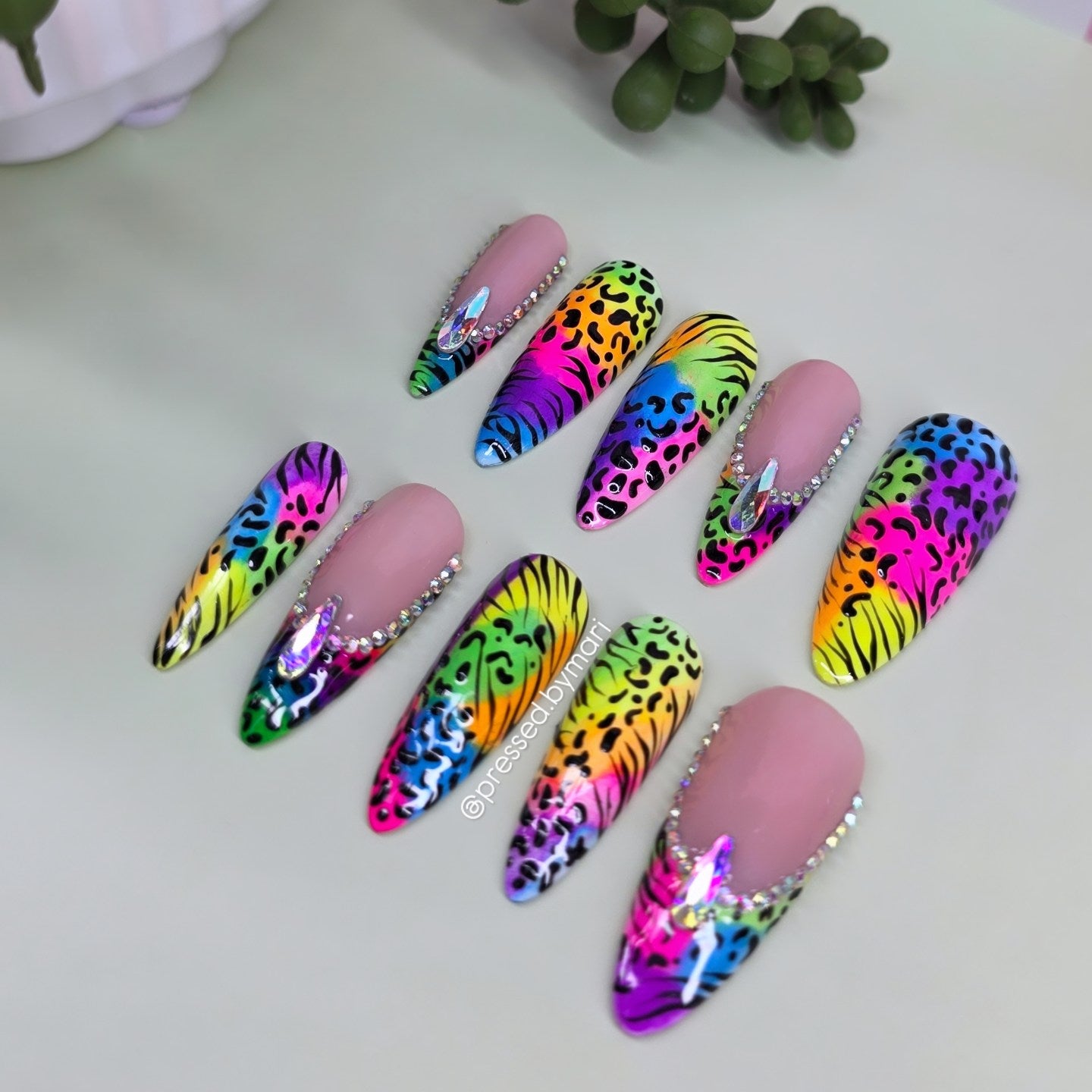 Rainbow Safari🌈