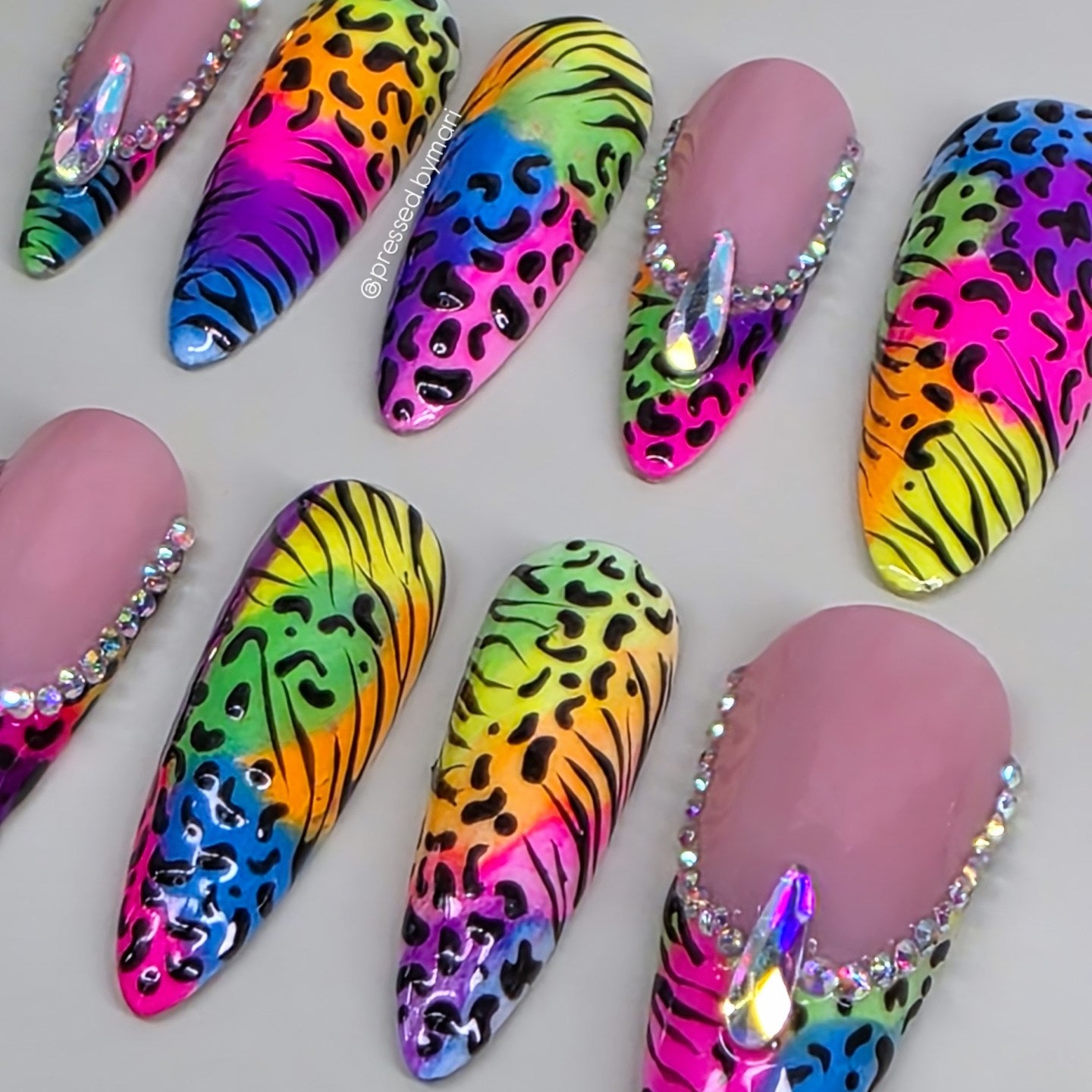 Rainbow Safari🌈